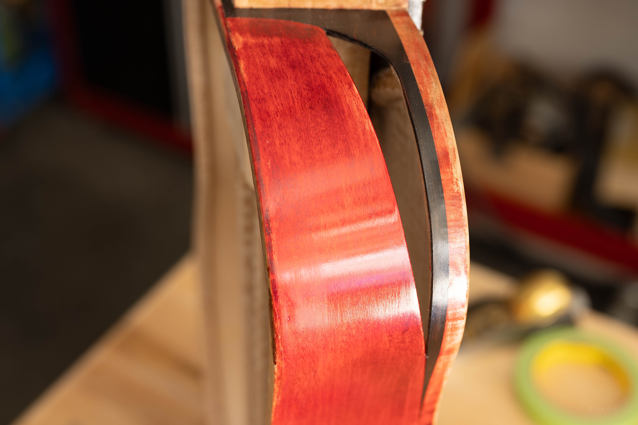 Sound Hole in Frankenstein